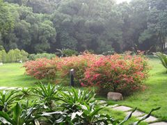 -广州市干部健康管理中心