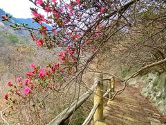 -木兰云雾山