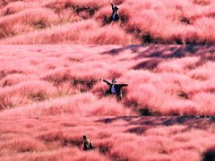 -嘉北郊野公园
