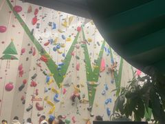 -绿壁虎攀岩基地(Tcar店)