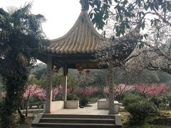 -雨花胜境