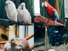 -海合安武汉极地海洋公园