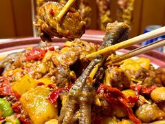 -巴依老爷新疆美食(常营店)