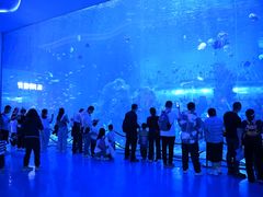 -石家庄极地海洋世界