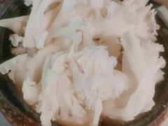 -澳美徕·港式花胶鸡火锅(高新万达店)