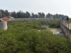 -北海金海湾红树林生态旅游区