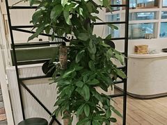 -葡珍轩冰室(虹桥机场T1店)