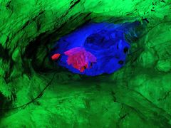 -伏牛地下河景区