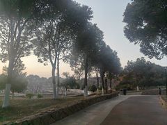 -滆湖低碳生态公园