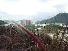 -白石龙音乐公园