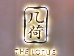 -几荷·恰似故人来(秀水广场店)