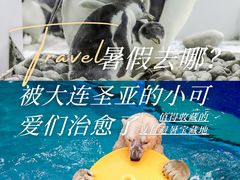 -大连圣亚海洋世界