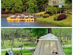 -上海海湾国家森林公园