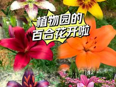 -石家庄市植物园