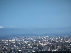 -长虫山生态公园风景林