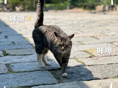 -无染寺
