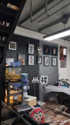 -雕哥的纹身店A3 TATTOO&纹身培训