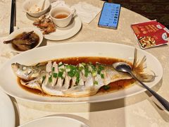 -金美华轩(东方路齐鲁店)