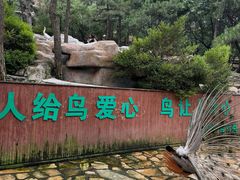 -燕塞湖鸟语林景区