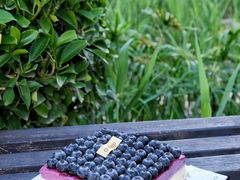 -可丽可丽·生日蛋糕·下午茶(厦门鹭港店)