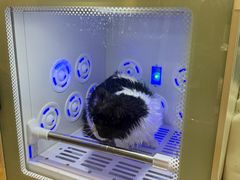 -PETKIT小佩宠物·低压洗护(国顺东路店)