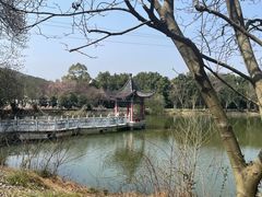-青龙山国家森林公园