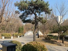 -迎泽公园