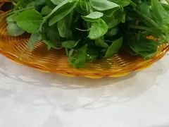 -北平楼·老北京涮羊肉(双流总店)