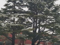 -北京市劳动人民文化宫(太庙)