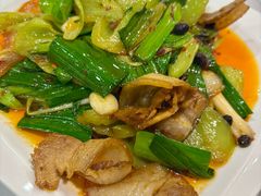 土猪回锅肉-金熊猫川菜餐厅