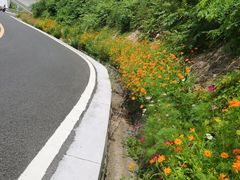 -舟山嵊泗列岛风景名胜区