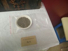 -乐山市博物馆