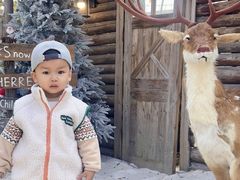 -HERRE·FARM 赫尔露营农场·团建聚会包场