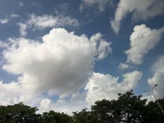 -口岸雕花楼