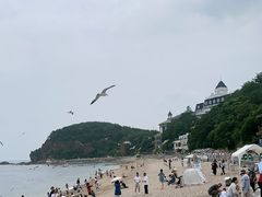 -棒棰岛宾馆景区