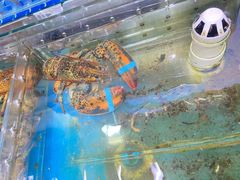 -87号烧烤海鲜·大排档(金沙滩店)