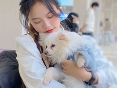 -怪兽屋·羊驼·猫咖·狗咖(俊华广场店)