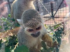 -石家庄市动物园