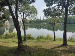 -尚贤河湿地