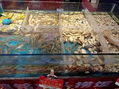 -魏铭鱼头捞饭(晋阳路店)