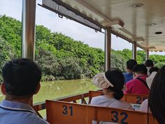 -大湾区中央湿地公园