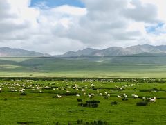 -青海湖国家重点风景名胜区
