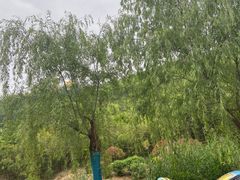 -白鹿原影视城