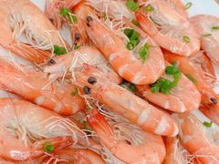-双月饭店·20年老字号(新村店)