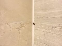 -大连富丽华大酒店