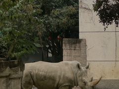 -成都动物园