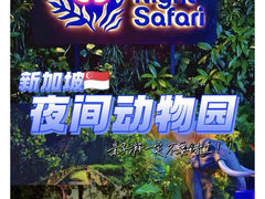 -夜间野生动物园