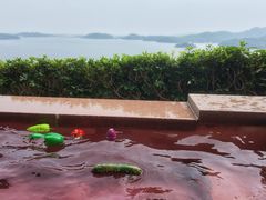 -天目湖涵田半山温泉