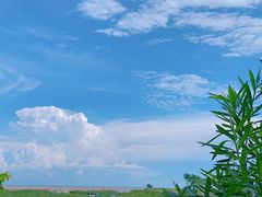 -红树林天天赶海