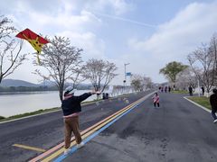 -羊山湖公园